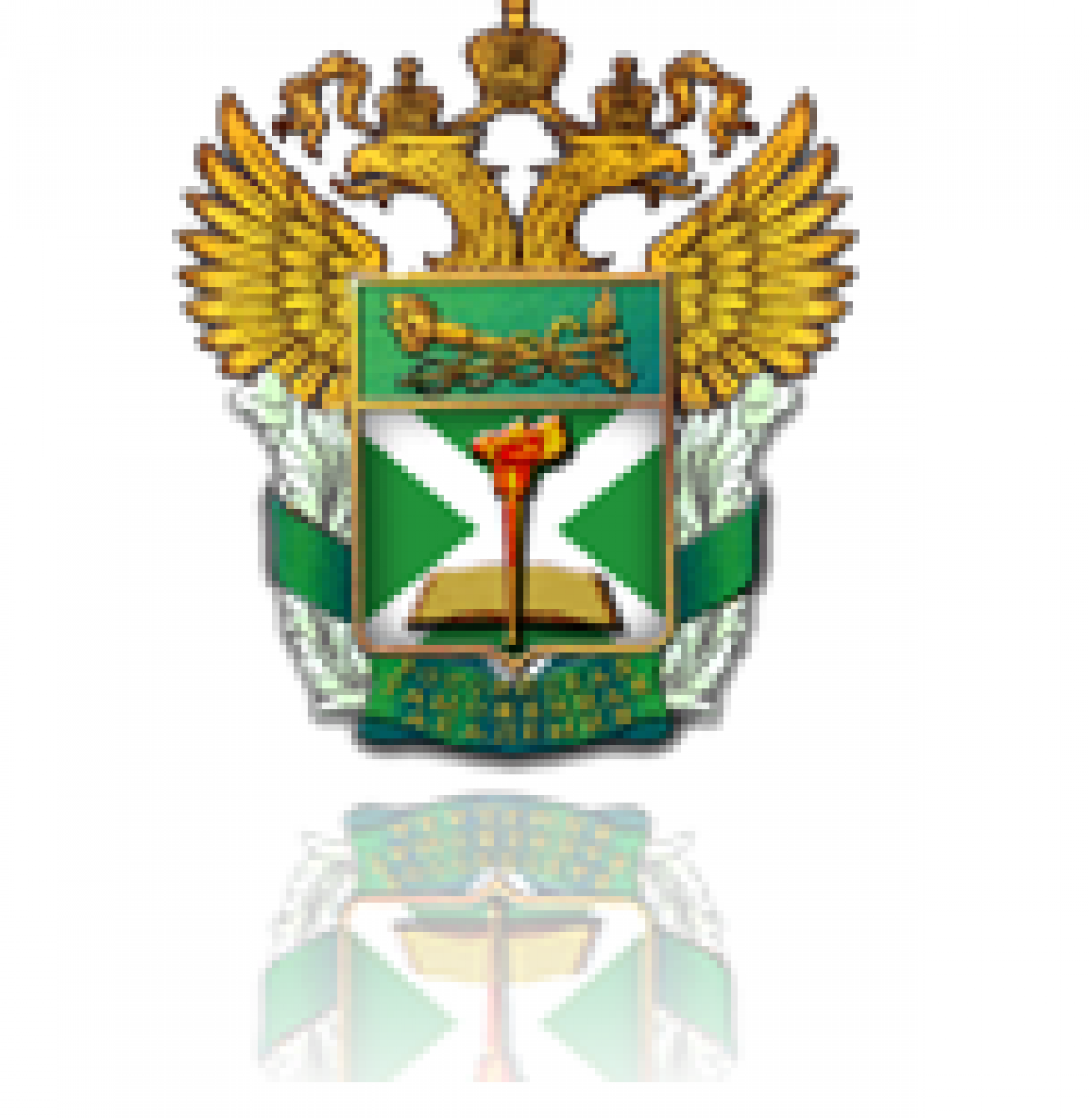 Russian Customs Academy
